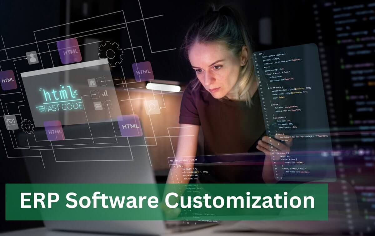 ERP Customization